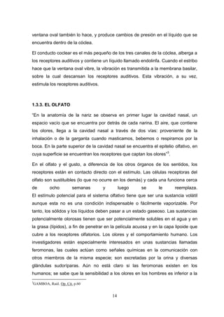 ventana oval también lo hace, y produce cambios de presión en el líquido que se
encuentra dentro de la cóclea.

El conducto coclear es el más pequeño de los tres canales de la cóclea, alberga a
los receptores auditivos y contiene un líquido llamado endolinfa. Cuando el estribo
hace que la ventana oval vibre, la vibración es transmitida a la membrana basilar,
sobre la cual descansan los receptores auditivos. Esta vibración, a su vez,
estimula los receptores auditivos.



1.3.3. EL OLFATO

“En la anatomía de la nariz se observa en primer lugar la cavidad nasal, un
espacio vacío que se encuentra por detrás de cada narina. El aire, que contiene
los olores, llega a la cavidad nasal a través de dos vías: proveniente de la
inhalación o de la garganta cuando masticamos, bebemos o respiramos por la
boca. En la parte superior de la cavidad nasal se encuentra el epitelio olfativo, en
cuya superficie se encuentran los receptores que captan los olores”3.

En el olfato y el gusto, a diferencia de los otros órganos de los sentidos, los
receptores están en contacto directo con el estímulo. Las células receptoras del
olfato son sustituibles (lo que no ocurre en los demás) y cada una funciona cerca
de           ocho         semanas    y        luego    se       le      reemplaza.
El estímulo potencial para el sistema olfativo tiene que ser una sustancia volátil
aunque esta no es una condición indispensable o fácilmente vaporizable. Por
tanto, los sólidos y los líquidos deben pasar a un estado gaseoso. Las sustancias
potencialmente olorosas tienen que ser potencialmente solubles en el agua y en
la grasa (lípidos), a fin de penetrar en la película acuosa y en la capa lipoide que
cubre a los receptores olfatorios. Los olores y el comportamiento humano. Los
investigadores están especialmente interesados en unas sustancias llamadas
feromonas, las cuales actúan como señales químicas en la comunicación con
otros miembros de la misma especie; son excretadas por la orina y diversas
glándulas sudoríparas. Aún no está claro si las feromonas existen en los
humanos; se sabe que la sensibilidad a los olores en los hombres es inferior a la
3
    GAMBOA, Raúl. Op. Cit. p.60


                                         14
 