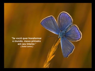 "Se você quer transformar
 o mundo, mexa primeiro
     em seu interior."
       ( Dalai Lama )
 