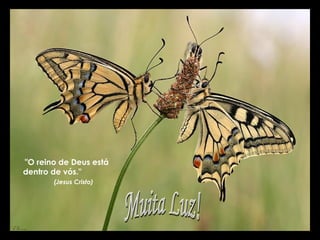 "O reino de Deus está
dentro de vós."
       (Jesus Cristo)
 