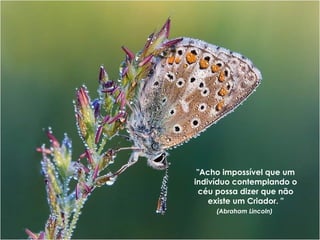 "Acho impossível que um
indivíduo contemplando o
 céu possa dizer que não
    existe um Criador. "
     (Abraham Lincoln)
 