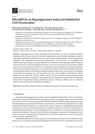 International Journal of
Molecular Sciences
Article
MicroRNAs in Hyperglycemia Induced Endothelial
Cell Dysfunction
Maskomani Silambarasan 1, Jun Rong Tan 1, Dwi Setyowati Karolina 1,
Arunmozhiarasi Armugam 1, Charanjit Kaur 2 and Kandiah Jeyaseelan 1,3,*
1 Department of Biochemistry, NUS Medicine, National University of Singapore, Singapore 117596, Singapore;
m.s19@nus.edu.sg (M.S.); bchtjr@nus.edu.sg (J.R.T.); setyowatikd1@gis.a-star.edu.sg (D.S.K.);
bchaa@nus.edu.sg (A.A.)
2 Department of Anatomy, NUS Medicine, National University of Singapore, Singapore 117594, Singapore;
charanjit_kaur@nuhs.edu.sg
3 Department of Anatomy and Developmental Biology, School of Biomedical Sciences, Faculty of Medicine,
Nursing and Health Sciences, Monash University, Melbourne, Clayton VIC 3800, Australia
* Correspondence: jeyaseelan.kandiah@monash.edu or bchjeya@nus.edu.sg; Tel.: +65-9832-6542
Academic Editor: Toshiro Arai
Received: 12 January 2016; Accepted: 22 March 2016; Published: 7 April 2016
Abstract: Hyperglycemia is closely associated with prediabetes and Type 2 Diabetes Mellitus.
Hyperglycemia increases the risk of vascular complications such as diabetic retinopathy, diabetic
nephropathy, peripheral vascular disease and cerebro/cardiovascular diseases. Under hyperglycemic
conditions, the endothelial cells become dysfunctional. In this study, we investigated the
miRNA expression changes in human umbilical vein endothelial cells exposed to different glucose
concentrations (5, 10, 25 and 40 mM glucose) and at various time intervals (6, 12, 24 and 48 h). miRNA
microarray analyses showed that there is a correlation between hyperglycemia induced endothelial
dysfunction and miRNA expression. In silico pathways analyses on the altered miRNA expression
showed that the majority of the affected biological pathways appeared to be associated to endothelial
cell dysfunction and apoptosis. We found the expression of ten miRNAs (miR-26a-5p, -26b-5p,
29b-3p, -29c-3p, -125b-1-3p, -130b-3p, -140-5p, -192-5p, -221-3p and -320a) to increase gradually with
increasing concentration of glucose. These miRNAs were also found to be involved in endothelial
dysfunction. At least seven of them, miR-29b-3p, -29c-3p, -125b-1-3p, -130b-3p, -221-3p, -320a and
-192-5p, can be correlated to endothelial cell apoptosis.
Keywords: microRNA; diabetes mellitus; endothelial dysfunction; apoptosis; hyperglycemia
1. Introduction
Physiologically, hyperglycemia is often caused by metabolic abnormalities. The early metabolic
abnormalities are termed the impaired fasting glucose (IFG), a pre-diabetic stage. It may take several
years before the IFG eventually develop Type 2 Diabetes Mellitus (T2DM) [1]. Hyperglycemia induces
both phenotypic and genotypic alterations in vascular tissues. The effects of hyperglycemia are often
irreversible and lead to progressive cell dysfunction. Chronic exposure to hyperglycemia is identiﬁed
as the primary casual factor in the pathogenesis of diabetic complications and in the development of
endothelial dysfunction [2]. Evidently, hyperglycemia is considered as an important risk factor for
cardiovascular diseases. Therefore, early detection and aggressive treatment of hyperglycemia will
prove to be useful in retarding the development of microvascular complications, as well as prevention
of macrovascular complications [3].
Endothelial cells (ECs) are simple squamous cells that line the luminal surface of blood vessels,
which serve as an interface between circulating blood and the intima layer of the blood vessels [4,5].
Int. J. Mol. Sci. 2016, 17, 518; doi:10.3390/ijms17040518 www.mdpi.com/journal/ijms
 