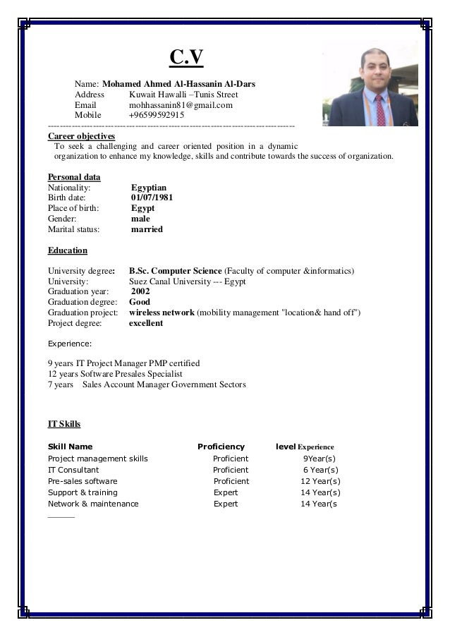 Cv maker template image