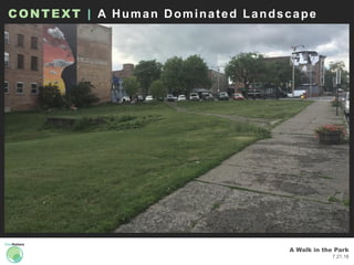 A Walk in the Park
7.21.16
CONTEXT | A Human Dominated Landscape
 
