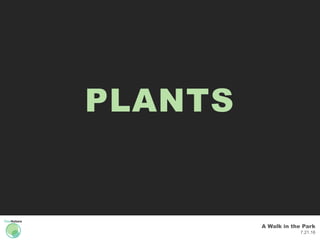A Walk in the Park
7.21.16
PLANTS
 