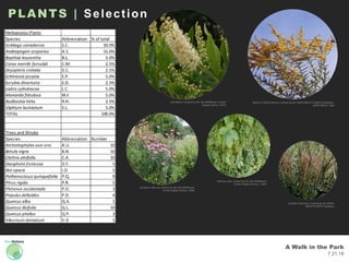 A Walk in the Park
7.21.16
PLANTS | Selection
Robert H. Mohlenbrock, hosted by the USDA-NRCS PLANTS Database /
USDA NRCS. 1995
Jennifer Anderson, hosted by the USDA-
NRCS PLANTS Database
Julie Makin, hosted by the LBJ Wildflower Center
Digital Library / 2012
Joseph A. Marcus, hosted by the LBJ Wildflower
Center Digital Library / 2003
Melody Lytle, hosted by the LBJ Wildflower
Center Digital Library / 2003
 