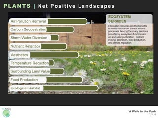 A Walk in the Park
7.21.16
PLANTS | Net Positive Landscapes
 