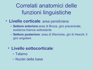 Correlati anatomici delle
funzioni linguistiche
• Livello corticale: area perisilviana
– Settore anteriore:area di Broca, giro precentrale,
sostanza bianca sottostante
– Settore posteriore: area di Wernicke, giri di Heschl, il
giro angolare
• Livello sottocorticale:
– Talamo
– Nuclei della base
 