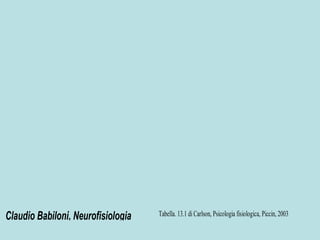 Claudio Babiloni, Neurofisiologia Tabella. 13.1 di Carlson, Psicologia fisiologica, Piccin, 2003
 