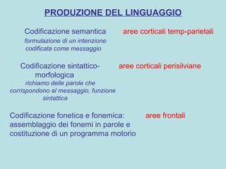 PRODUZIONE DEL LINGUAGGIO
Codificazione semantica aree corticali temp-parietali
formulazione di un intenzione
codificata come messaggio
Codificazione sintattico- aree corticali perisilviane
morfologica
richiamo delle parole che
corrispondono al messaggio, funzione
sintattica
Codificazione fonetica e fonemica: aree frontali
assemblaggio dei fonemi in parole e
costituzione di un programma motorio
 
