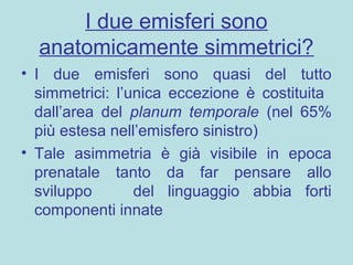 I due emisferi sono
anatomicamente simmetrici?
• I due emisferi sono quasi del tutto
simmetrici: l’unica eccezione è costituita
dall’area del planum temporale (nel 65%
più estesa nell’emisfero sinistro)
• Tale asimmetria è già visibile in epoca
prenatale tanto da far pensare allo
sviluppo del linguaggio abbia forti
componenti innate
 