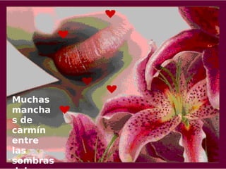 Muchas
mancha
s de
carmín
entre
las
sombras
 