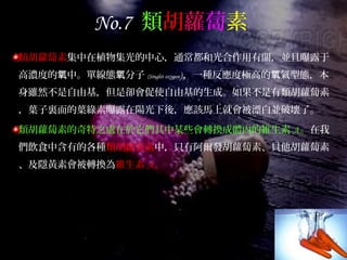 No.7 類胡蘿蔔素
類胡蘿蔔素集中在植物集光的中心，通常都和光合作用有關，並且曝露于
高濃度的 中。單線態 分子氧 氧 (Singlet oxygen)，一種反應度極高的 氣型態，本氧
身雖然不是自由基，但是卻會促使自由基的生成。如果不是有類胡蘿蔔素
，葉子裏面的葉綠素曝露在陽光下後，應該馬上就會被漂白並破壞了。
類胡蘿蔔素的奇特之處在於它們其中某些會轉換成體內的維生素 A。在我
們飲食中含有的各種類胡蘿蔔素中，只有阿爾發胡蘿蔔素、貝他胡蘿蔔素
、及隱黃素會被轉換為維生素 A。
 