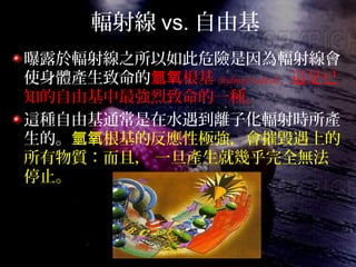輻射線 vs. 自由基
曝露於輻射線之所以如此危險是因為輻射線會
使身體產生致命的 根基氫氧 (hydroxyl radical) ，這是已
知的自由基中最強烈致命的一種。
這種自由基通常是在水遇到離子化輻射時所產
生的。 根基的反應性極強，會摧毀遇上的氫氧
所有物質：而且， 一旦產生就幾乎完全無法
停止。
 