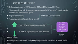 723_CSF_Anatomy_Physiology_and_Dynamics.pptx