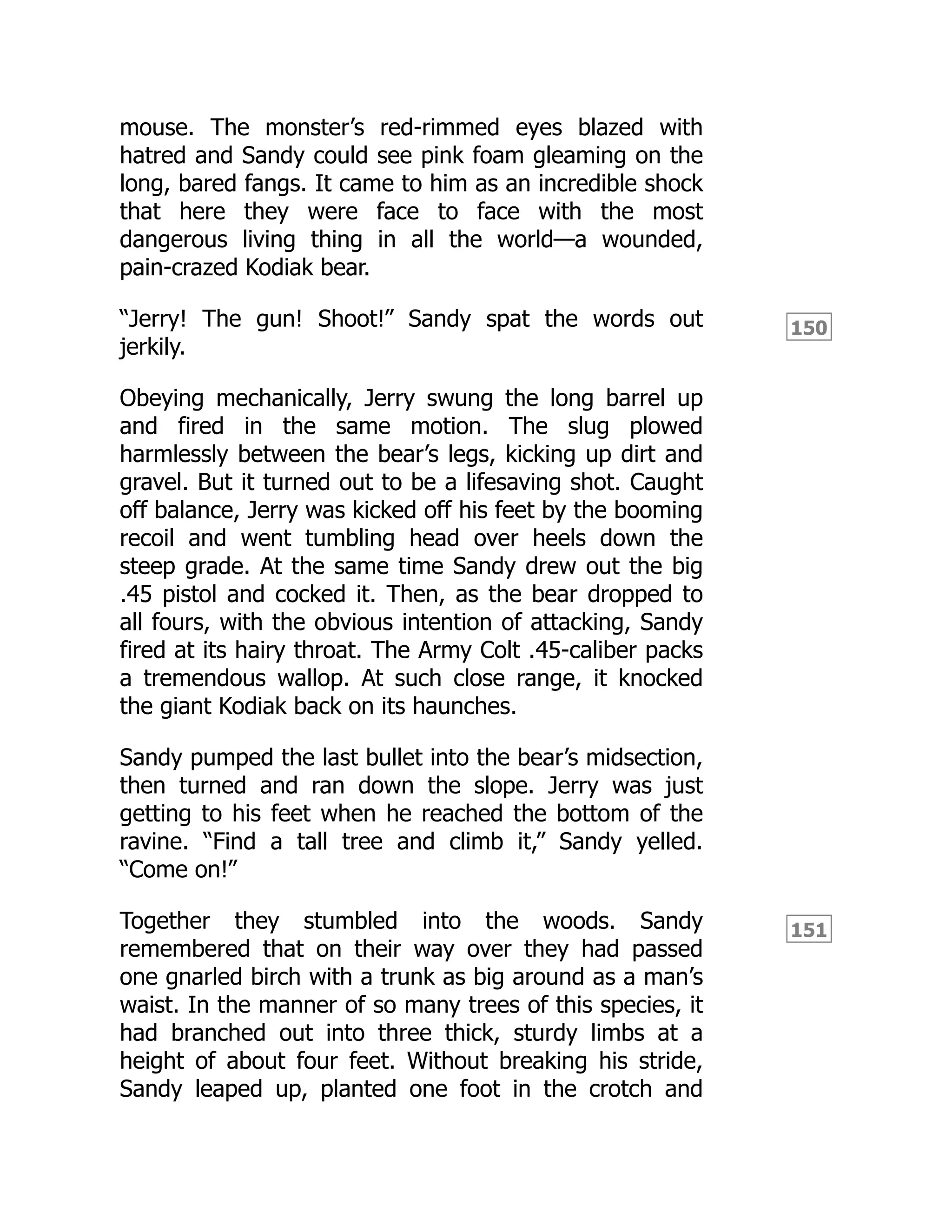 150
151
mouse. The monster’s red-rimmed eyes blazed with
hatred and Sandy could see pink foam gleaming on the
long, bared fangs. It came to him as an incredible shock
that here they were face to face with the most
dangerous living thing in all the world—a wounded,
pain-crazed Kodiak bear.
“Jerry! The gun! Shoot!” Sandy spat the words out
jerkily.
Obeying mechanically, Jerry swung the long barrel up
and fired in the same motion. The slug plowed
harmlessly between the bear’s legs, kicking up dirt and
gravel. But it turned out to be a lifesaving shot. Caught
off balance, Jerry was kicked off his feet by the booming
recoil and went tumbling head over heels down the
steep grade. At the same time Sandy drew out the big
.45 pistol and cocked it. Then, as the bear dropped to
all fours, with the obvious intention of attacking, Sandy
fired at its hairy throat. The Army Colt .45-caliber packs
a tremendous wallop. At such close range, it knocked
the giant Kodiak back on its haunches.
Sandy pumped the last bullet into the bear’s midsection,
then turned and ran down the slope. Jerry was just
getting to his feet when he reached the bottom of the
ravine. “Find a tall tree and climb it,” Sandy yelled.
“Come on!”
Together they stumbled into the woods. Sandy
remembered that on their way over they had passed
one gnarled birch with a trunk as big around as a man’s
waist. In the manner of so many trees of this species, it
had branched out into three thick, sturdy limbs at a
height of about four feet. Without breaking his stride,
Sandy leaped up, planted one foot in the crotch and
 