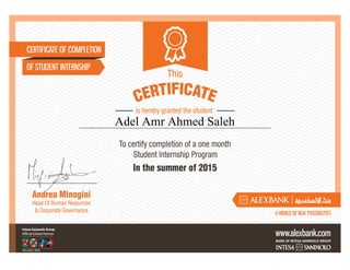 Adel Amr Ahmed Saleh
 