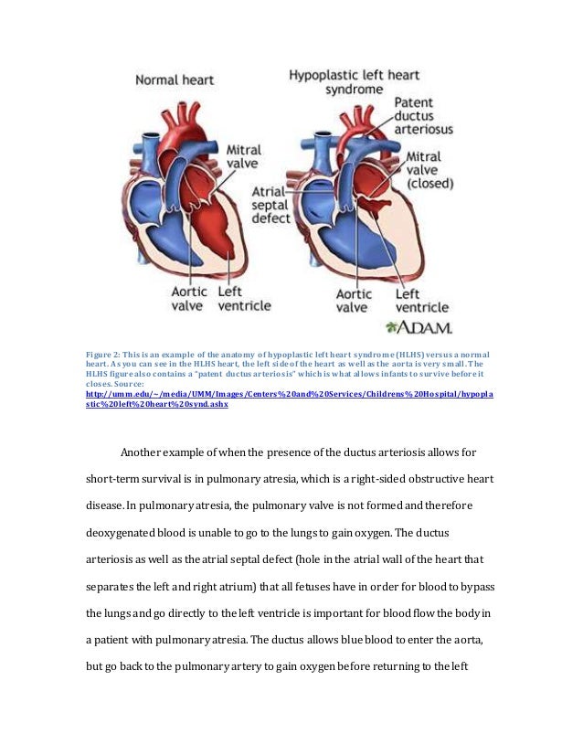 management article review of journals