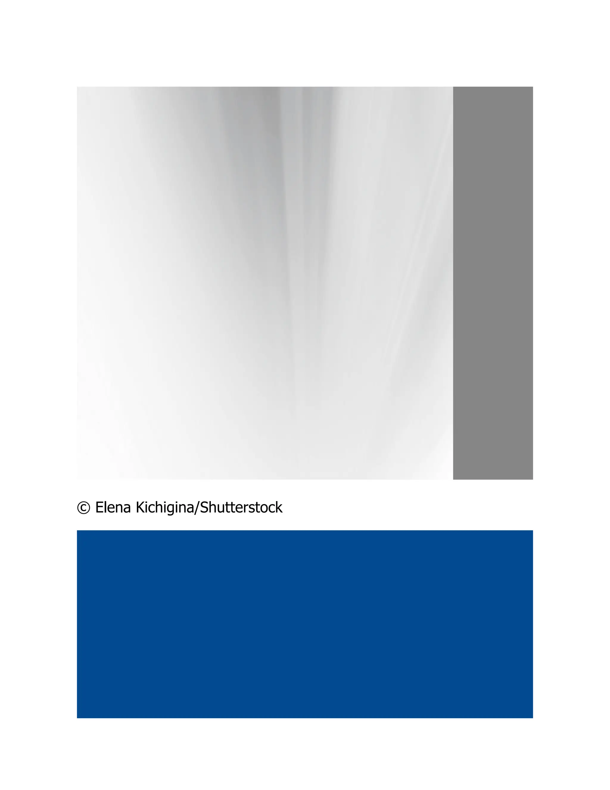 © Elena Kichigina/Shutterstock
 