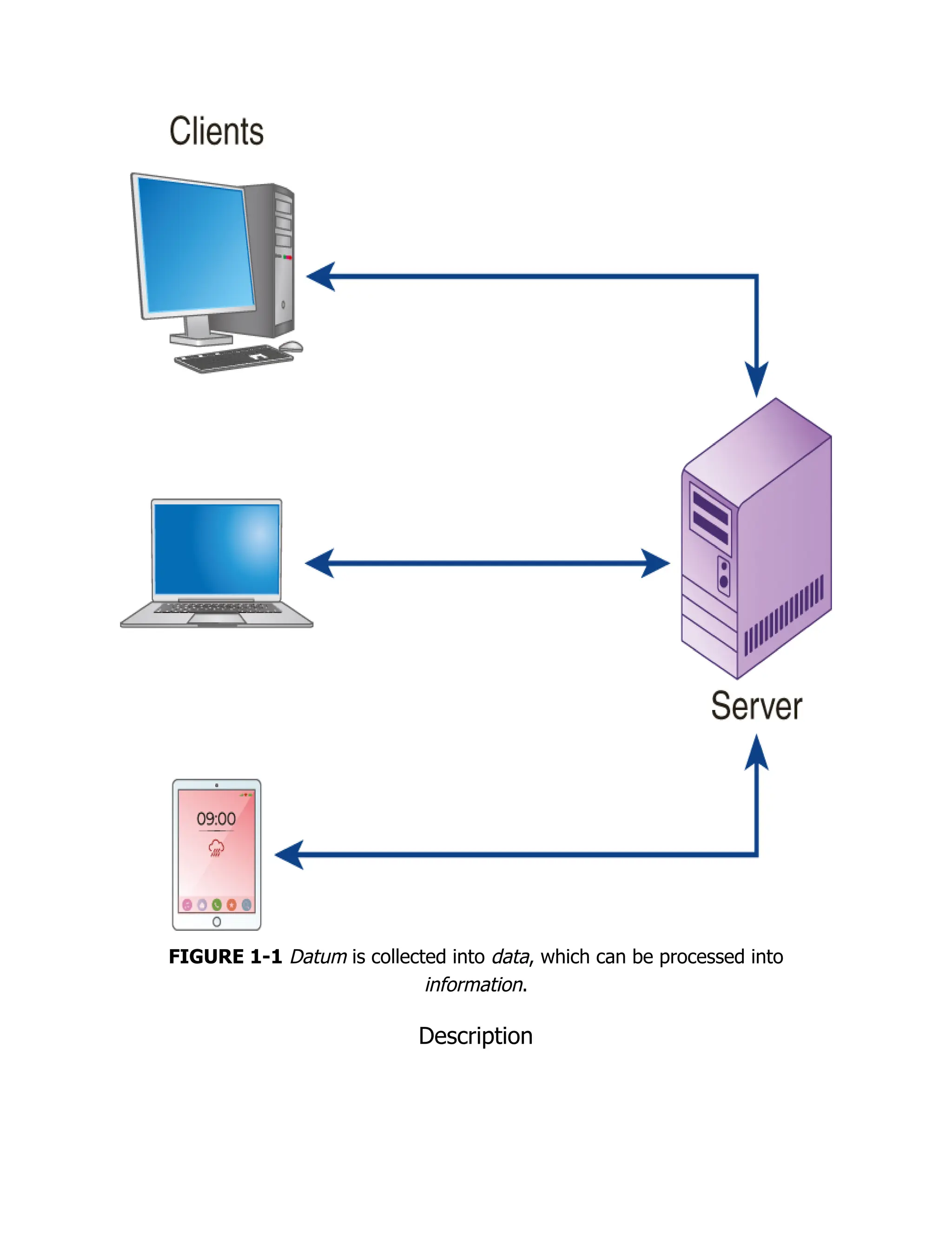 FIGURE 1-1 Datum is collected into data, which can be processed into
information.
Description
 