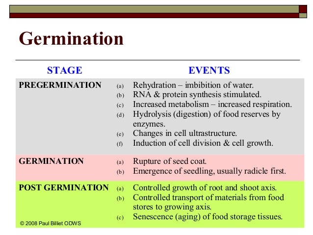 Seedgermination
