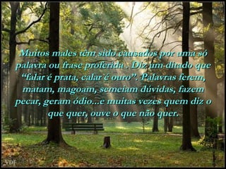Muitos males têm sido causados por uma sóMuitos males têm sido causados por uma só
palavra ou frase proferida . Diz um ditado quepalavra ou frase proferida . Diz um ditado que
“falar é prata, calar é ouro”. Palavras ferem,“falar é prata, calar é ouro”. Palavras ferem,
matam, magoam, semeiam dúvidas, fazemmatam, magoam, semeiam dúvidas, fazem
pecar, geram ódio...e muitas vezes quem diz opecar, geram ódio...e muitas vezes quem diz o
que quer, ouve o que não quer.que quer, ouve o que não quer.
 