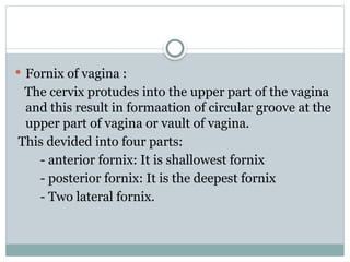 Presentation on female reproductive system | PPTX