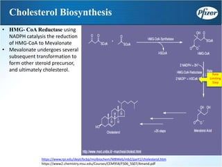 • HMG- CoA Reductase using
NADPH catalysis the reduction
of HMG-CoA to Mevalonate
• Mevalonate undergoes several
subsequent transformation to
form other steroid precursor,
and ultimately cholesterol.
Cholesterol Biosynthesis
Rate
Limiting
Step
https://www.rpi.edu/dept/bcbp/molbiochem/MBWeb/mb2/part1/cholesterol.htm
https://www2.chemistry.msu.edu/Courses/CEM958/FS06_SS07/Amand.pdf
 