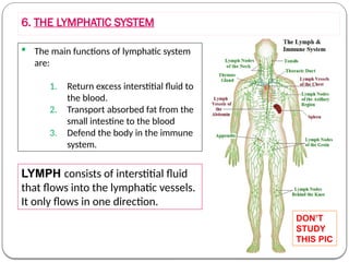 Lymph Absorption 725755577-Unit5-Circulatory-and-Excretor-Bgc.pptx