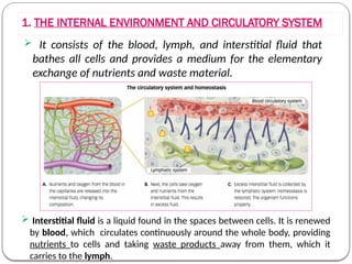 Interstitial Environment 725755577-Unit5-Circulatory-and-Excretor-Bgc.pptx