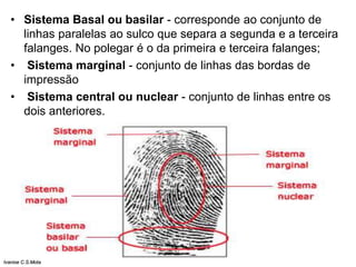 • Sistema Basal ou basilar - corresponde ao conjunto de
linhas paralelas ao sulco que separa a segunda e a terceira
falanges. No polegar é o da primeira e terceira falanges;
• Sistema marginal - conjunto de linhas das bordas de
impressão
• Sistema central ou nuclear - conjunto de linhas entre os
dois anteriores.
Ivanise C.S.Mota
 