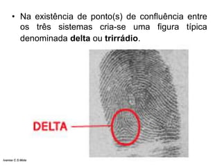 • Na existência de ponto(s) de confluência entre
os três sistemas cria-se uma figura típica
denominada delta ou trirrádio.
Ivanise C.S.Mota
 