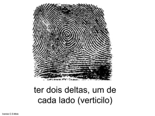 ter dois deltas, um de
cada lado (verticilo)
Ivanise C.S.Mota
 