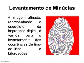 Levantamento de Minúcias
A imagem afinada,
representando o
esqueleto da
impressão digital, é
varrida para o
levantamento das
ocorrências de fins-
de-linha e
bifurcações.
Ivanise C.S.Mota
 