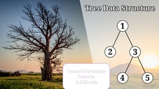 -Tree-and-Its-Terminology-Ppt.pptx, tree traversal | PPTX