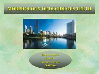 MORPHOLOGY OF DECIDUOUS TEETH
Dental Anatomy
Dent 201
Summer semester
2005/2006
 
