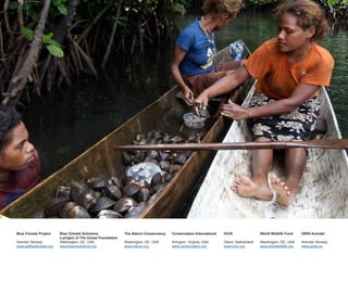 Blue Forests Project
Arendal, Norway
www.gefblueforests.org
Blue Climate Solutions,
a project of The Ocean Foundation
Washington, DC, USA
www.bluecsolutions.org
The Nature Conservancy
Washington, DC, USA
www.nature.org
IUCN
Gland, Switzerland
www.iucn.org
GRID-Arendal
Arendal, Norway
www.grida.no
Conservation International
Arlington, Virginia, USA
www.conservation.org
World Wildlife Fund
Washington, DC, USA
www.worldwildlife.org
 