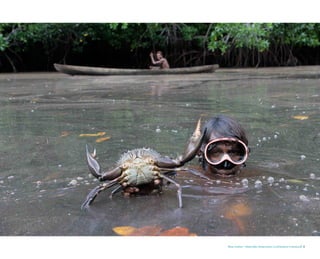 Blue Carbon - Nationally Determined Contributions Inventory 5
 