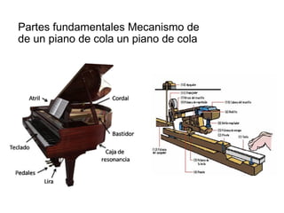 Partes fundamentales Mecanismo de  de un piano de cola un piano de cola 