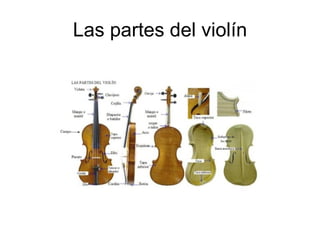 Las partes del violín 
