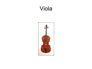 Viola 