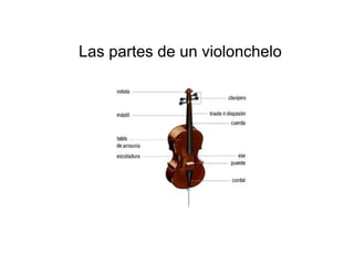 Las partes de un violonchelo 