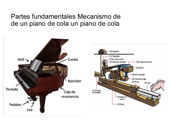 Instrumentos De Cuerda Ppt