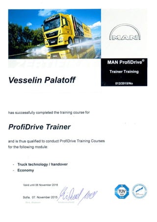 Palatoff's_ProfiDrive_License