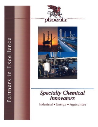 Pheonix Environmental USA