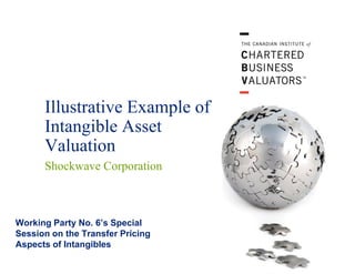 Illustrative Example of
Intangible Asset
Valuation
Shockwave Corporation

Working Party No. 6’s Special
Session on the Transfer Pricing
Aspects of Intangibles

 