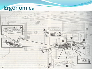 Ergonomics
 