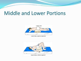Middle and Lower Portions
 