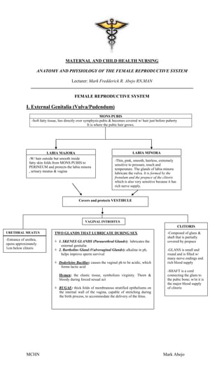 Anatomy Reproductive System | PDF