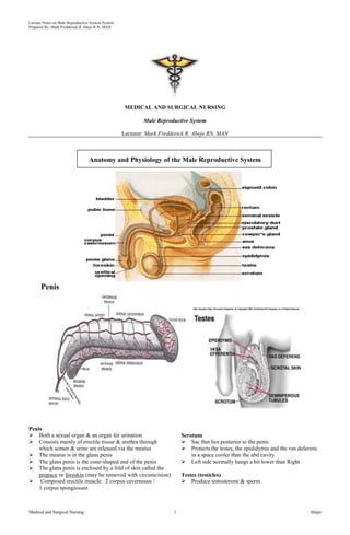 Lecture Notes on Male Reproductive System System
Prepared By: Mark Fredderick R Abejo R.N, MAN




                                                    MEDICAL AND SURGICAL NURSING

                                                           Male Reproductive System

                                                   Lecturer: Mark Fredderick R. Abejo RN, MAN



                                 Anatomy and Physiology of the Male Reproductive System




      Penis




Penis
 Both a sexual organ & an organ for urination                             Scrotum
 Consists mainly of erectile tissue & urethra through                      Sac that lies posterior to the penis
    which semen & urine are released via the meatus                         Protects the testes, the epididymis and the vas deferens
 The meatus is in the glans penis                                             in a space cooler than the abd cavity
 The glans penis is the cone-shaped end of the penis                       Left side normally hangs a bit lower than Right
 The glans penis is enclosed by a fold of skin called the
    prepuce or foreskin (may be removed with circumcision)                 Testes (testicles)
 Composed erectile muscle: 2 corpus cavernosus /                           Produce testosterone & sperm
    1 corpus spongiosum



Medical and Surgical Nursing                                           1                                                          Abejo
 