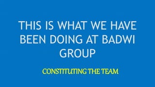 THIS IS WHAT WE HAVE
BEEN DOING AT BADWI
GROUP
CONSTITUTING THE TEAM
 